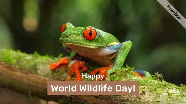 World Wildlife Day Video Template