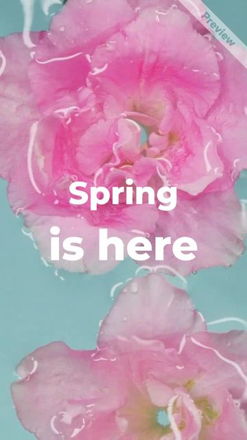 Spring Sale Video Template