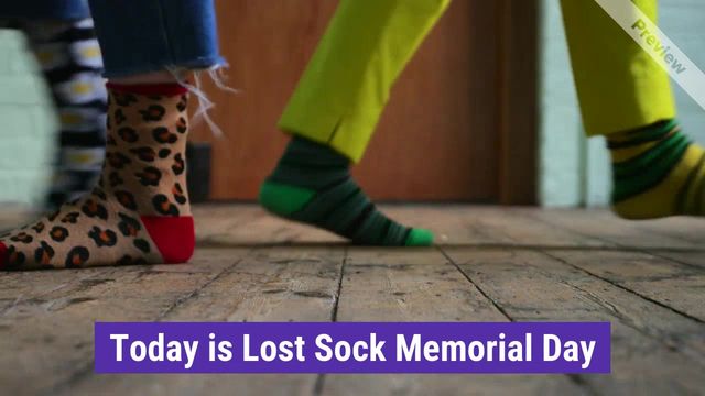 Lost Sock Memorial Day | May 9 Video Template