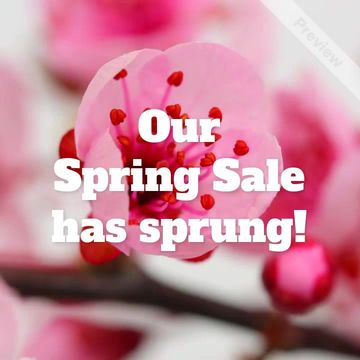 Blossom Into Savings | Spring Sale Video Template