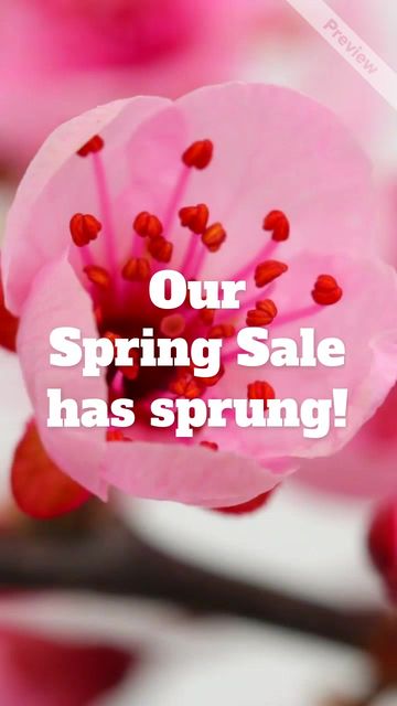 Blossom Into Savings | Spring Sale Video Template