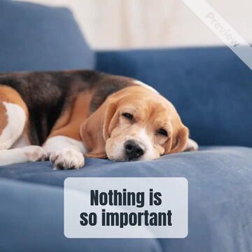 Relax Now Work Later | Lazy Saturday  Video Template