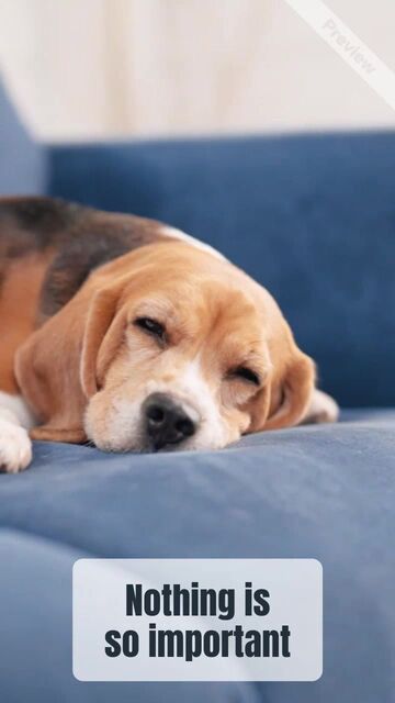 Relax Now Work Later | Lazy Saturday  Video Template