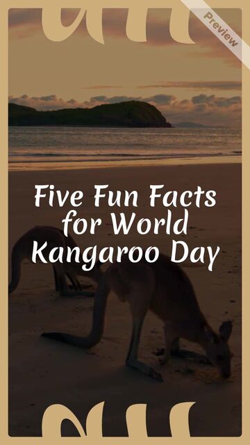 Kangaroo Day #2 Video Template