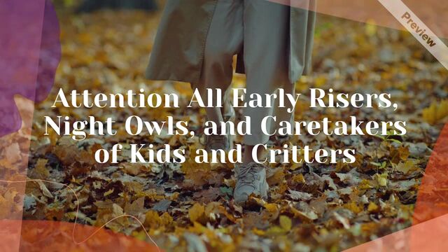 Daylight Saving Time Ends #3 Video Template