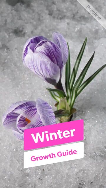 Winter Growth Guide #2 Video Template
