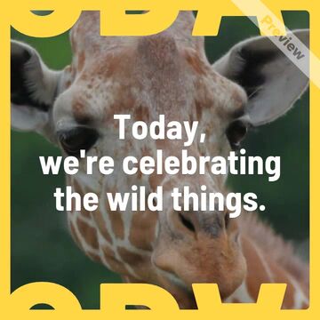 Celebrate the Wild with [Your Brand] Video Template