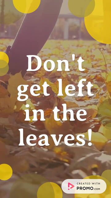 Fall into Savings: Last Chance! Video Template