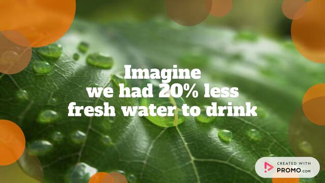 World Rainforest Day Video Template